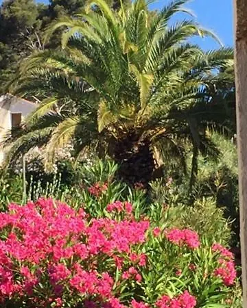 Sanary * Sanary-sur-Mer