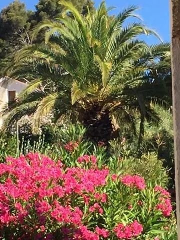 Sanary * サナリー・シュル・メール