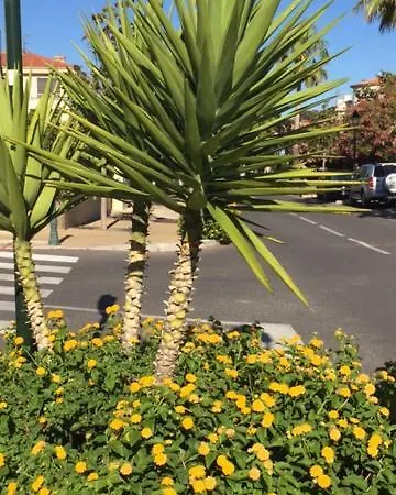 Sanary Διαμέρισμα